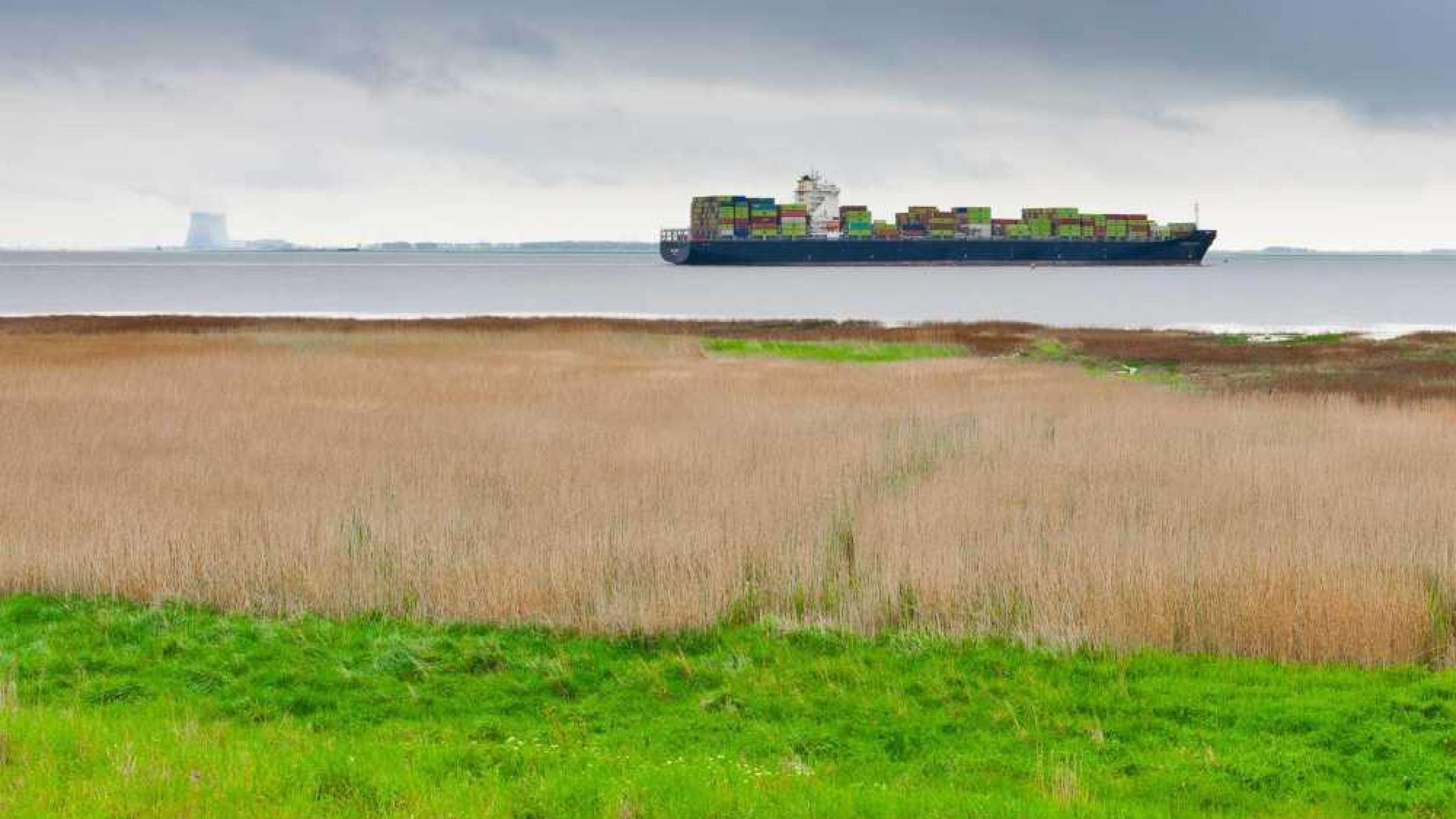 A ship full of containers